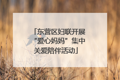 东营区妇联开展“爱心妈妈”集中关爱陪伴活动