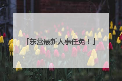 东营最新人事任免！