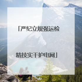 严纪立规强运检 精技实干护电网