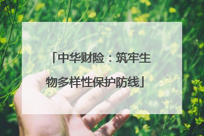 中华财险：筑牢生物多样性保护防线