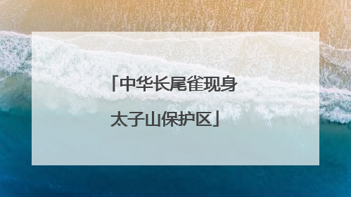 中华长尾雀现身太子山保护区