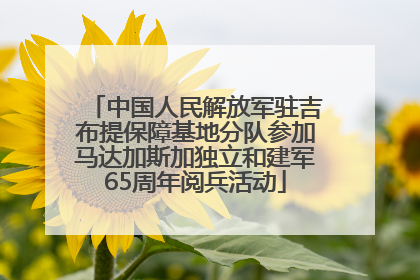 中国人民解放军驻吉布提保障基地分队参加马达加斯加独立和建军65周年阅兵活动