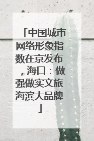 中国城市网络形象指数在京发布，海口：做强做实文旅海滨大品牌