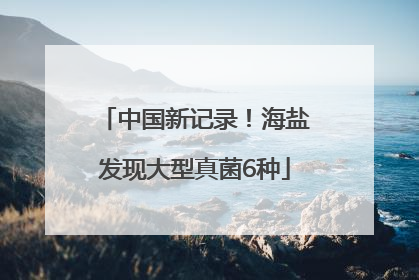 中国新记录！海盐发现大型真菌6种