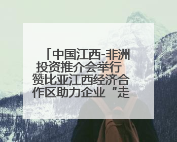 中国江西-非洲投资推介会举行 赞比亚江西经济合作区助力企业“走出去”