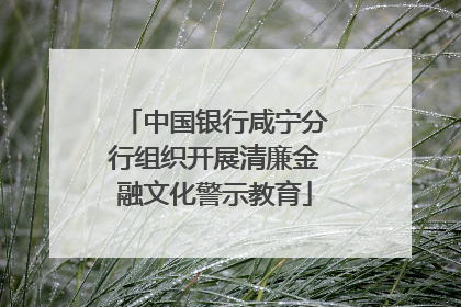 中国银行咸宁分行组织开展清廉金融文化警示教育