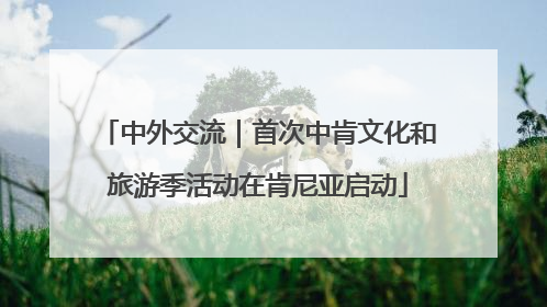 中外交流｜首次中肯文化和旅游季活动在肯尼亚启动