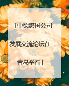 中德跨国公司发展交流论坛在青岛举行