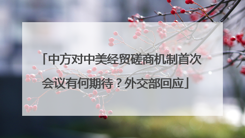 中方对中美经贸磋商机制首次会议有何期待？外交部回应