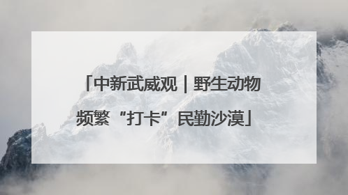 中新武威观｜野生动物频繁“打卡”民勤沙漠