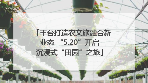 丰台打造农文旅融合新业态 “5.20”开启沉浸式“田园”之旅