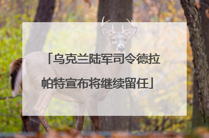 乌克兰陆军司令德拉帕特宣布将继续留任