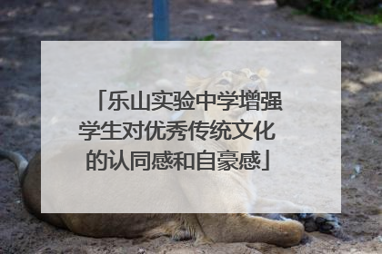 乐山实验中学增强学生对优秀传统文化的认同感和自豪感