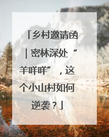 乡村邀请函｜密林深处“羊咩咩”，这个小山村如何逆袭？
