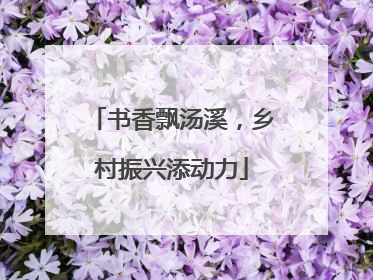 书香飘汤溪，乡村振兴添动力