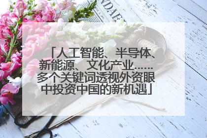 人工智能、半导体、新能源、文化产业……多个关键词透视外资眼中投资中国的新机遇