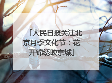 人民日报关注北京月季文化节：花开锦绣映京城
