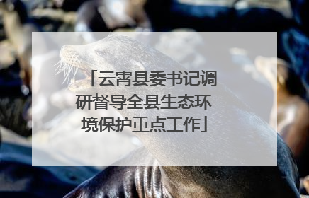 云霄县委书记调研督导全县生态环境保护重点工作