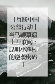 互联中国公益行动丨当马鞭草遇上互联网：昆明小渔村的逆袭密码