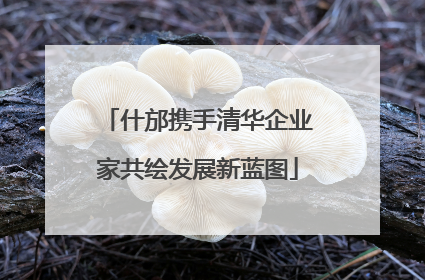 什邡携手清华企业家共绘发展新蓝图