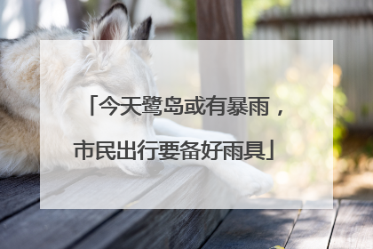 今天鹭岛或有暴雨，市民出行要备好雨具