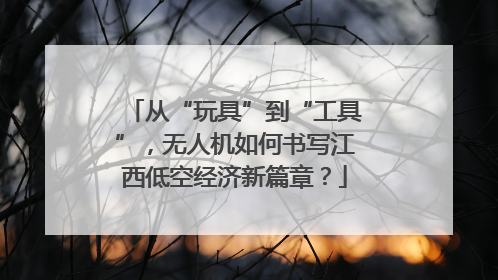 从“玩具”到“工具”，无人机如何书写江西低空经济新篇章？