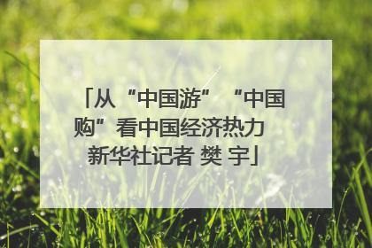 从“中国游”“中国购”看中国经济热力 新华社记者 樊 宇