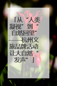 从“人类凝视”到“自然回望”——杭州文旅品牌活动让大自然“发声”