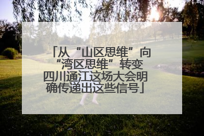 从“山区思维”向“湾区思维”转变 四川通江这场大会明确传递出这些信号