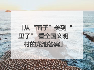 从“面子”美到“里子” 看全国文明村的龙池答案