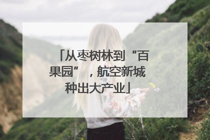 从枣树林到“百果园”，航空新城种出大产业