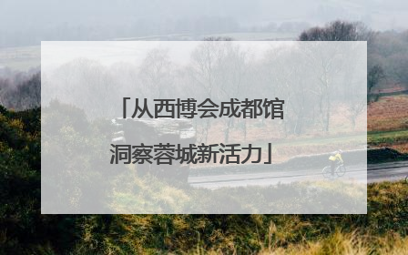 从西博会成都馆洞察蓉城新活力