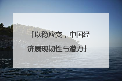 以稳应变，中国经济展现韧性与潜力