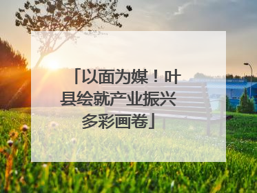 以面为媒！叶县绘就产业振兴多彩画卷