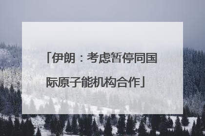 伊朗：考虑暂停同国际原子能机构合作