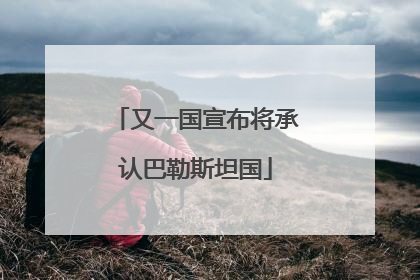 又一国宣布将承认巴勒斯坦国