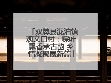 双牌县泷泊镇观文口村：粽叶飘香承古韵 乡情凝聚展新篇
