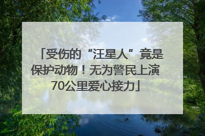 受伤的“汪星人”竟是保护动物！无为警民上演70公里爱心接力
