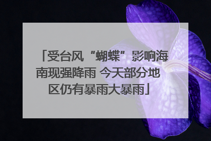 受台风“蝴蝶”影响海南现强降雨 今天部分地区仍有暴雨大暴雨