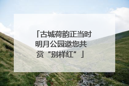 古城荷韵正当时 明月公园邀您共赏“别样红”