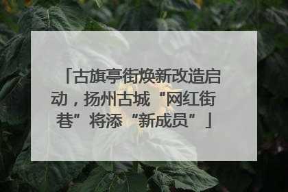 古旗亭街焕新改造启动，扬州古城“网红街巷”将添“新成员”