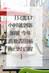 只需17小时就到新加坡 今年首批青田杨梅已经启程