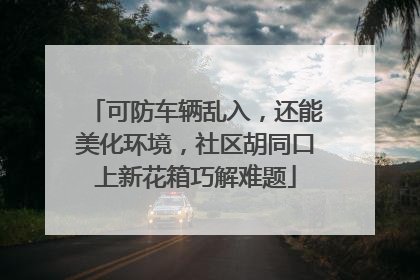 可防车辆乱入，还能美化环境，社区胡同口上新花箱巧解难题