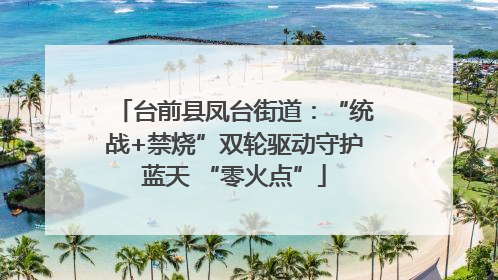 台前县凤台街道：“统战+禁烧”双轮驱动守护蓝天 “零火点”