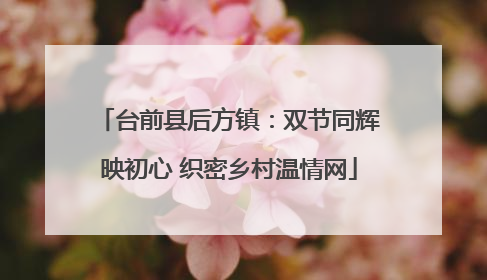 台前县后方镇：双节同辉映初心 织密乡村温情网