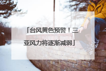 台风黄色预警！三亚风力将逐渐减弱