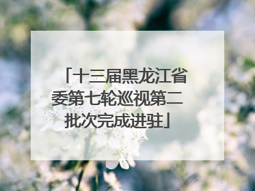 十三届黑龙江省委第七轮巡视第二批次完成进驻