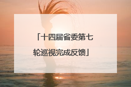 十四届省委第七轮巡视完成反馈
