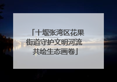 十堰张湾区花果街道守护文明河流 共绘生态画卷