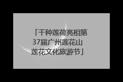 千种莲荷亮相第37届广州莲花山莲花文化旅游节